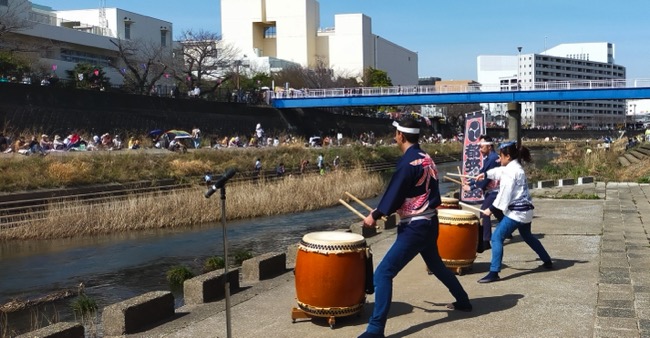戸塚柏尾川さくら祭りでの和太鼓演奏の様子2